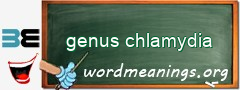 WordMeaning blackboard for genus chlamydia